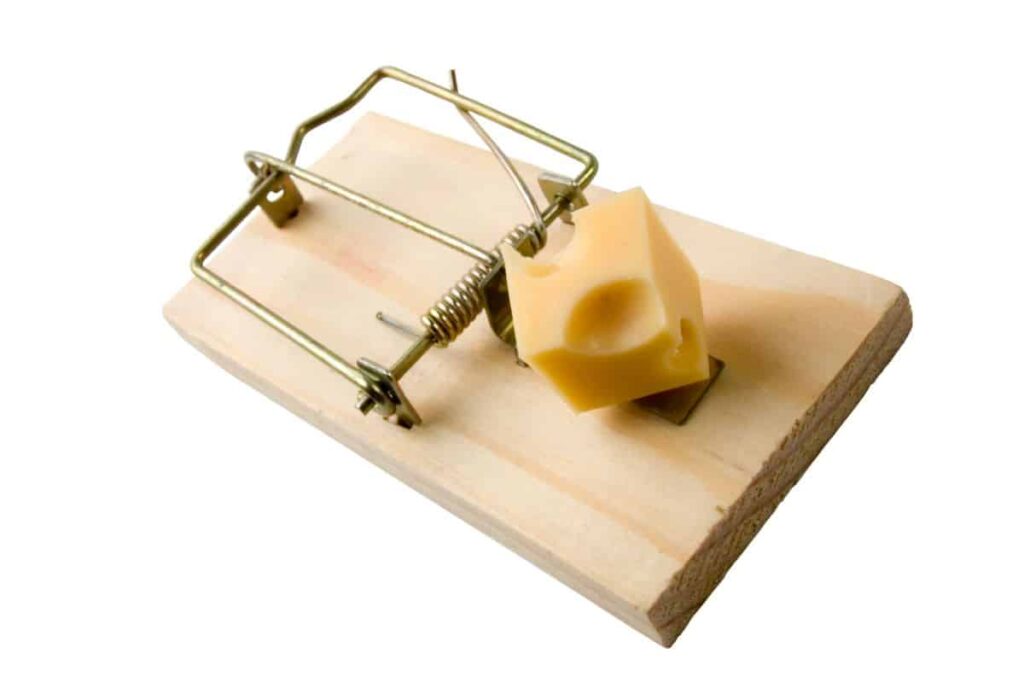 Mousetrap | The Ojo-Yoshida Report