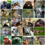 Who’s in the zoo: a brief taxonomy of AI systems